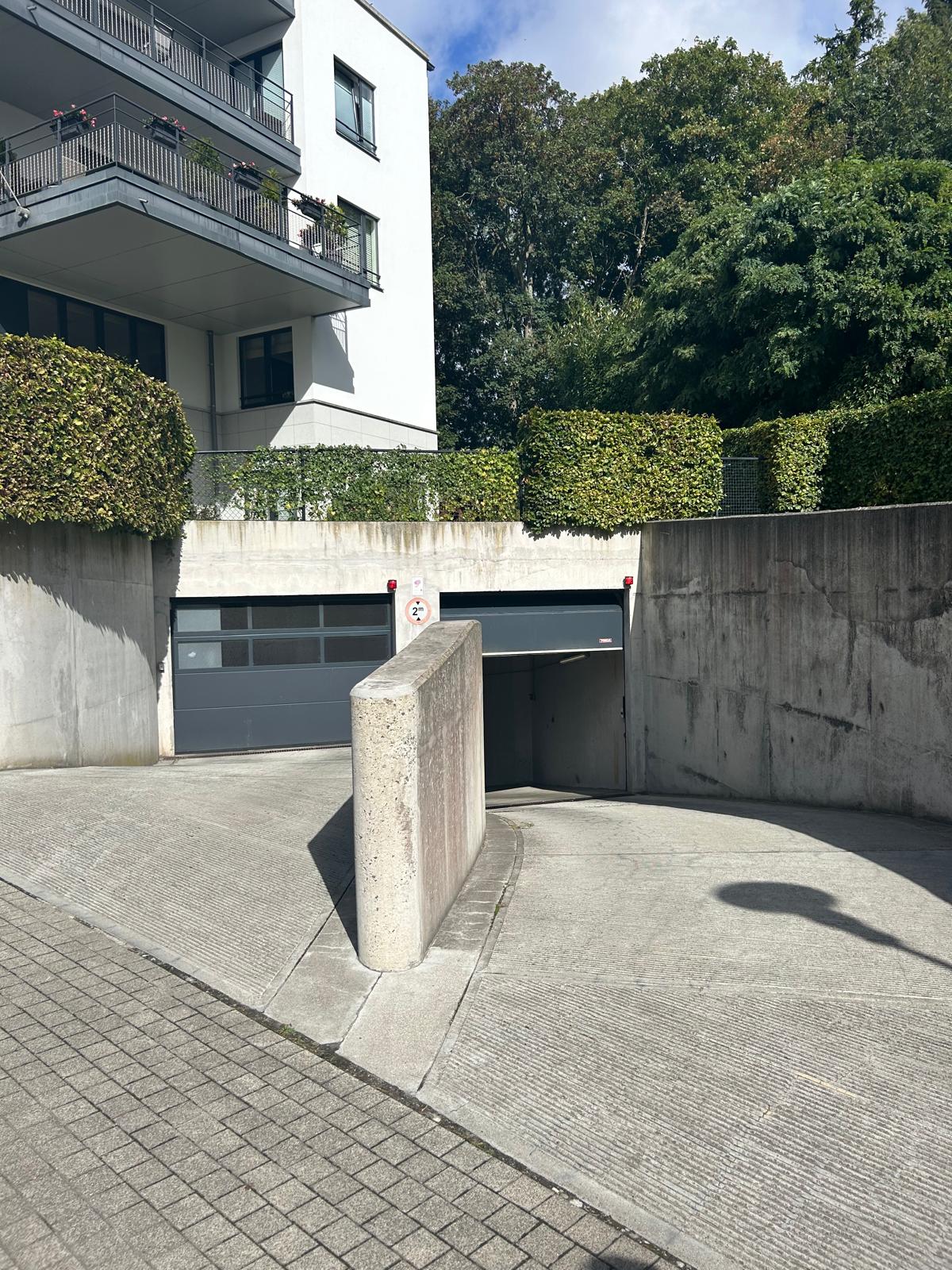 Miniature 3 (Portrait)